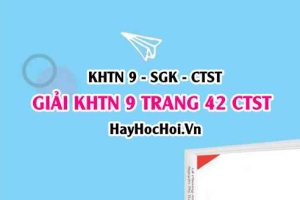 Giải KHTN 9 trang 42 Chân trời sáng tạo SGK